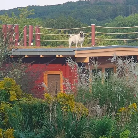 Villa Lavilla Private *